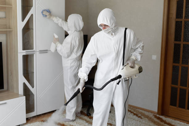 Best Mold Testing and Inspection Services in Cutten, CA