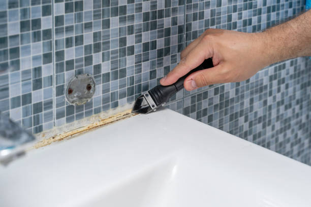 Best Mold Remediation for Schools in Cutten, CA